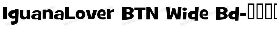 IguanaLover BTN Wide Bd字体转换